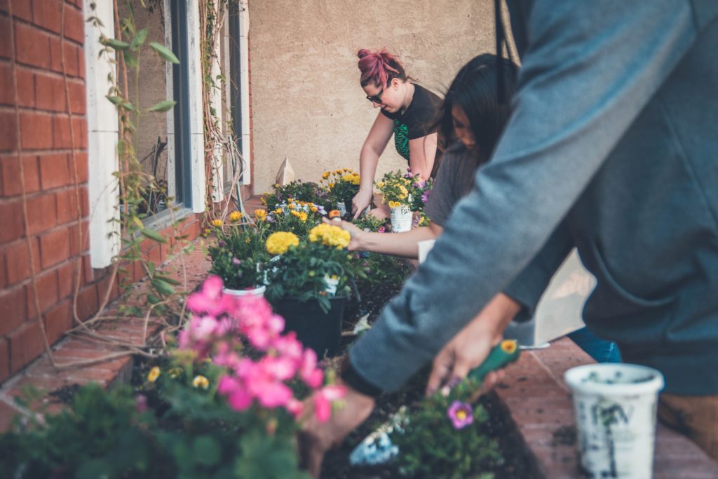 Community garden project