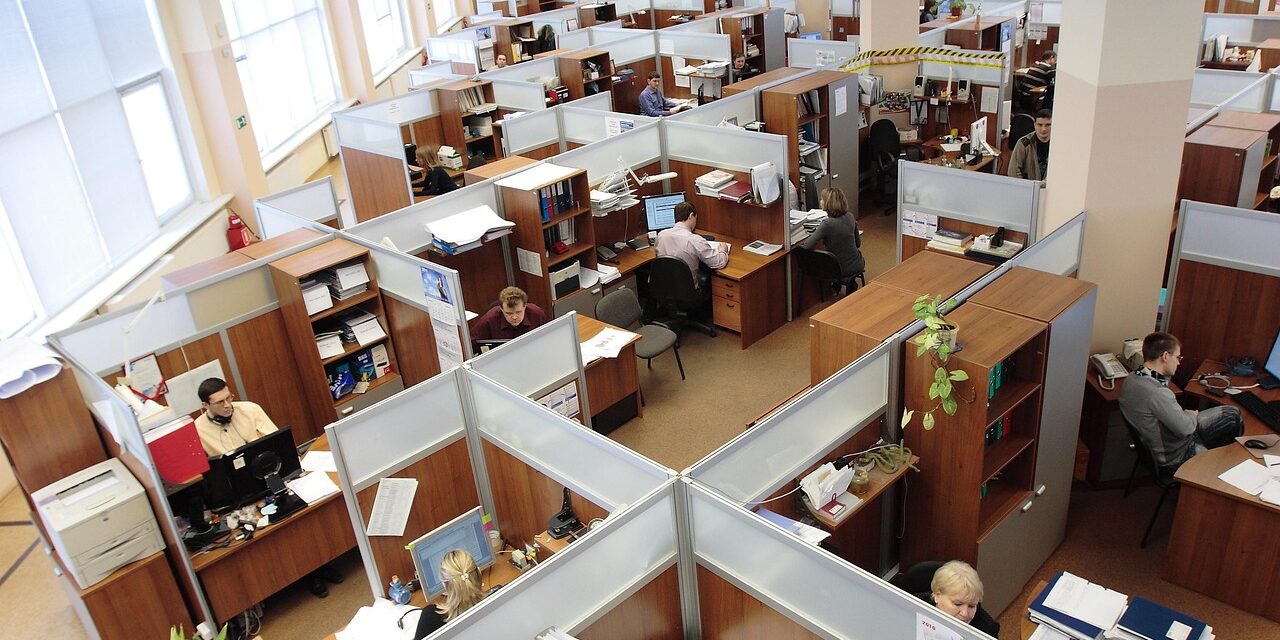 A maze of office cubicles