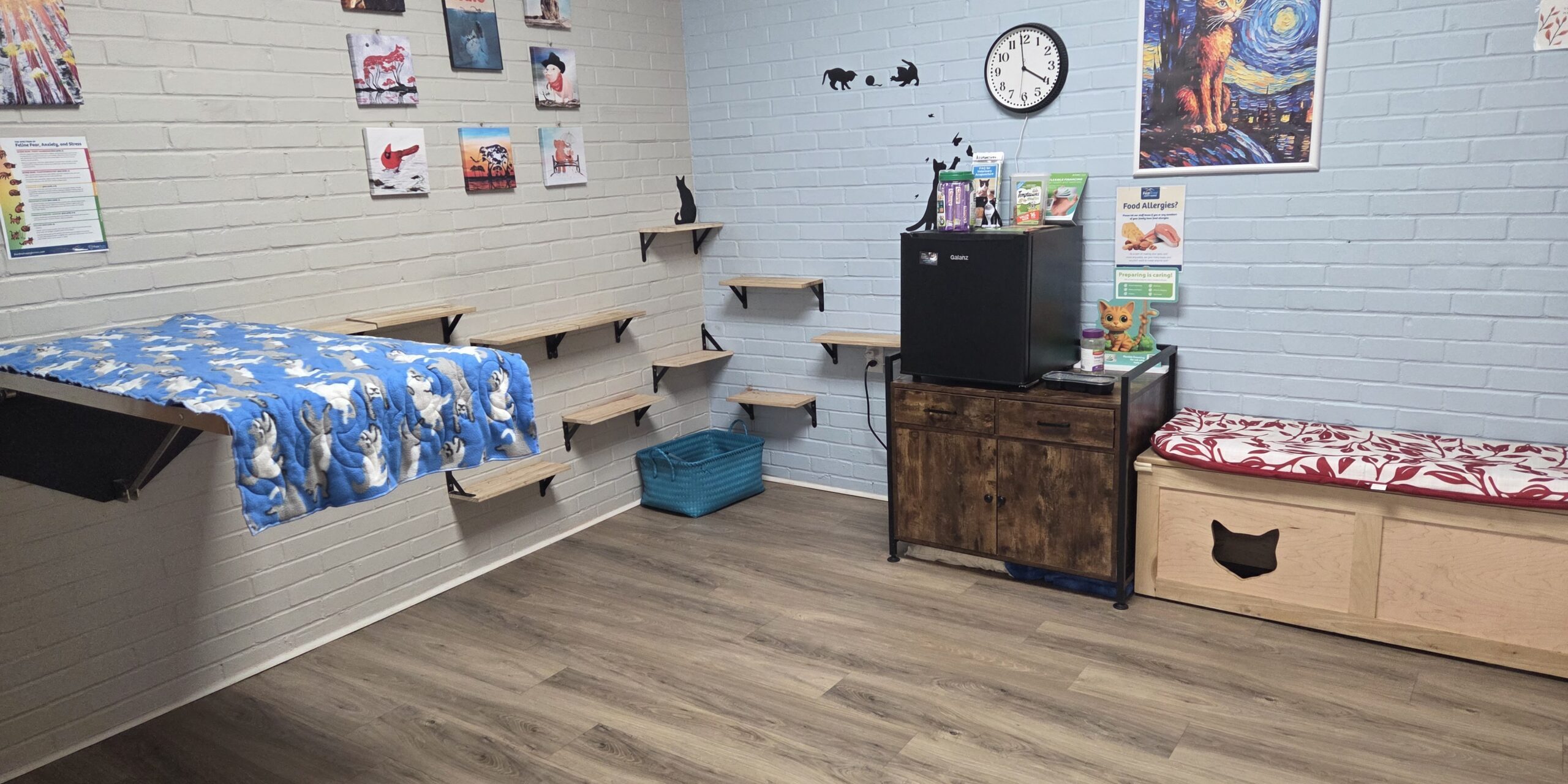 The cat room at the holistic vet's office