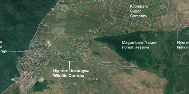 Wildlife Corridor – Africa Map of a wildlife corridor in Tanzania